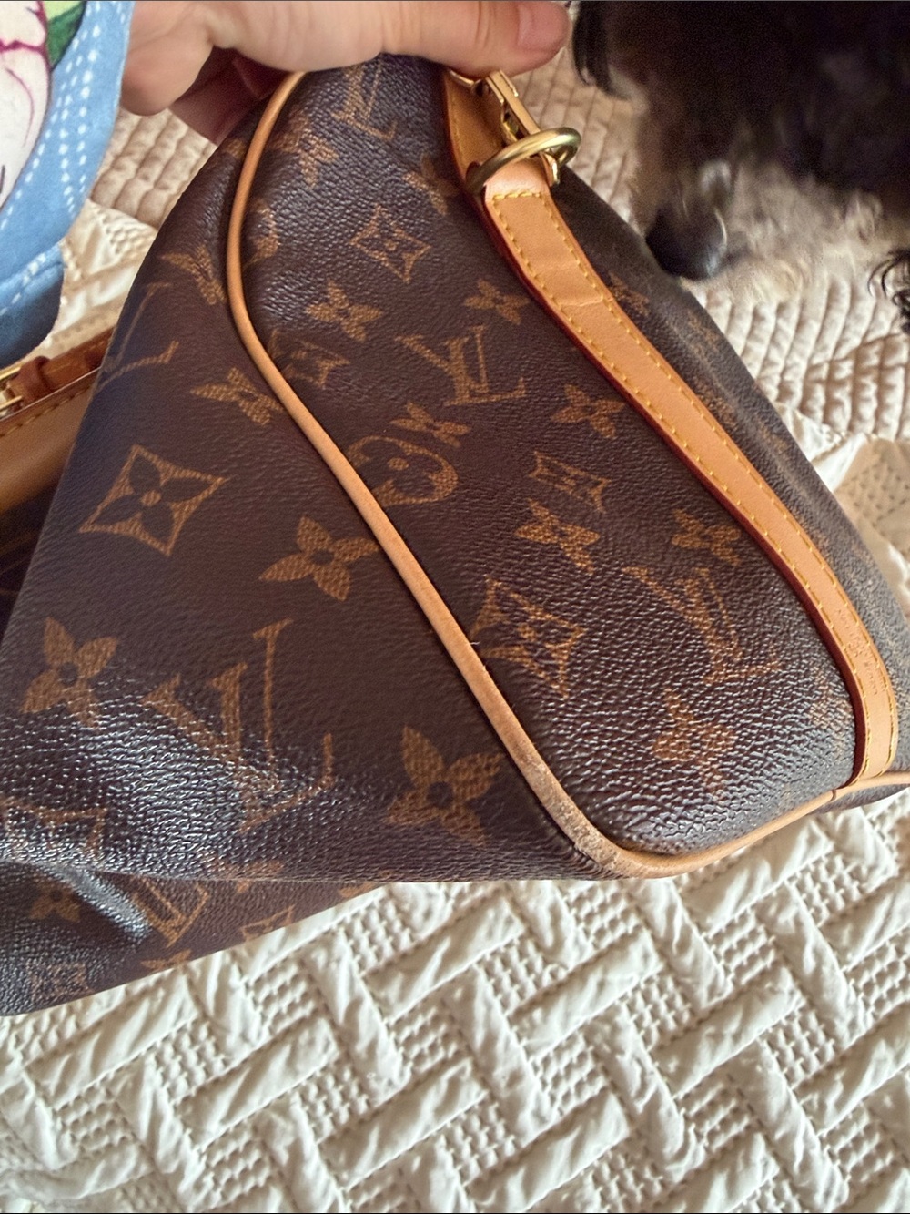Louis Vuitton Speedy V30. Date Code: SP0169,  dust not included.  EUC! - Picture 9 of 11